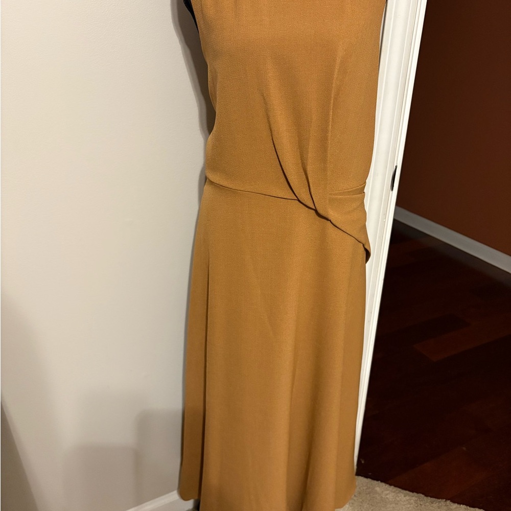 Elegant Tan Dress